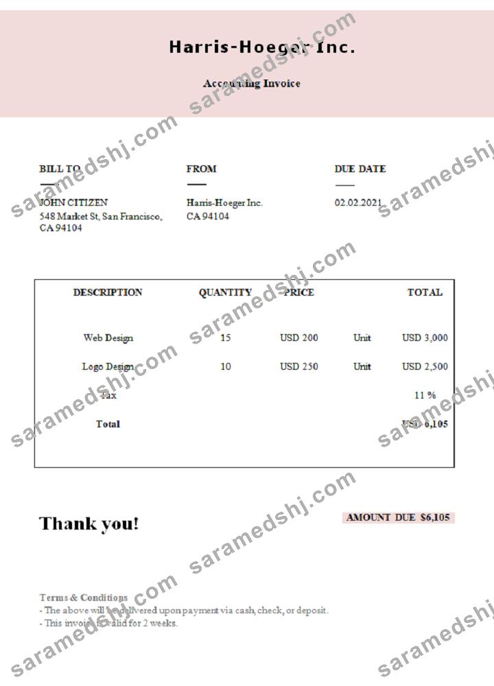 USA Harris-Hoeger Inc. invoice